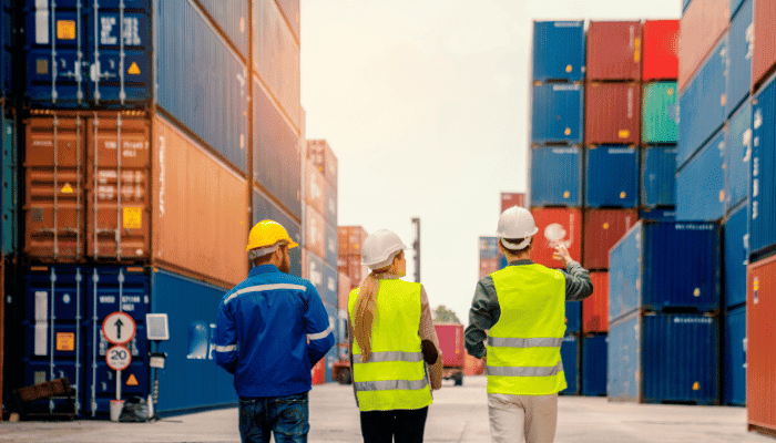 Supply Chain Management: Successful Shipping and Customs Projects